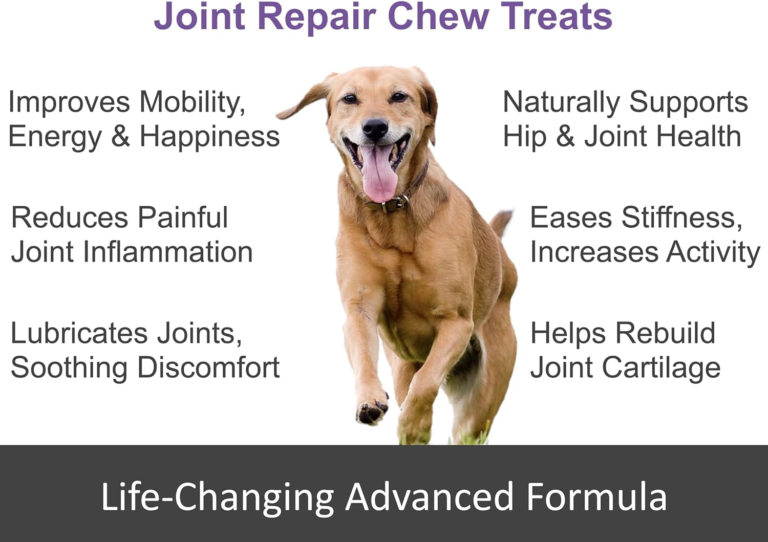 Finest for Pets Glucosamine Supplement Tablets for Dogs, Chicken Flavor, 12.7 oz Bottle