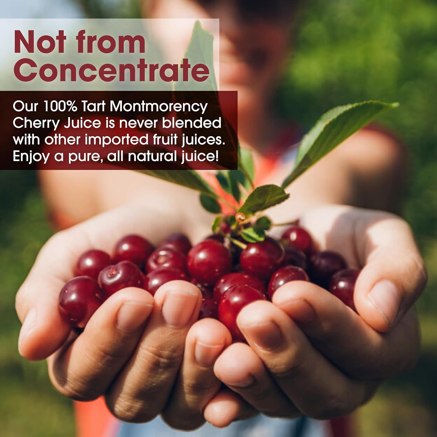 Cherry Bay Orchards 100% Montmorency Tart Cherry Juice 64 oz 2PACK