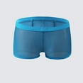 thumbnail image 5 of Men Mesh Boxer Briefs Thin Low Waist Transparent Sexy Underwear Pouch Panties, 5 of 11