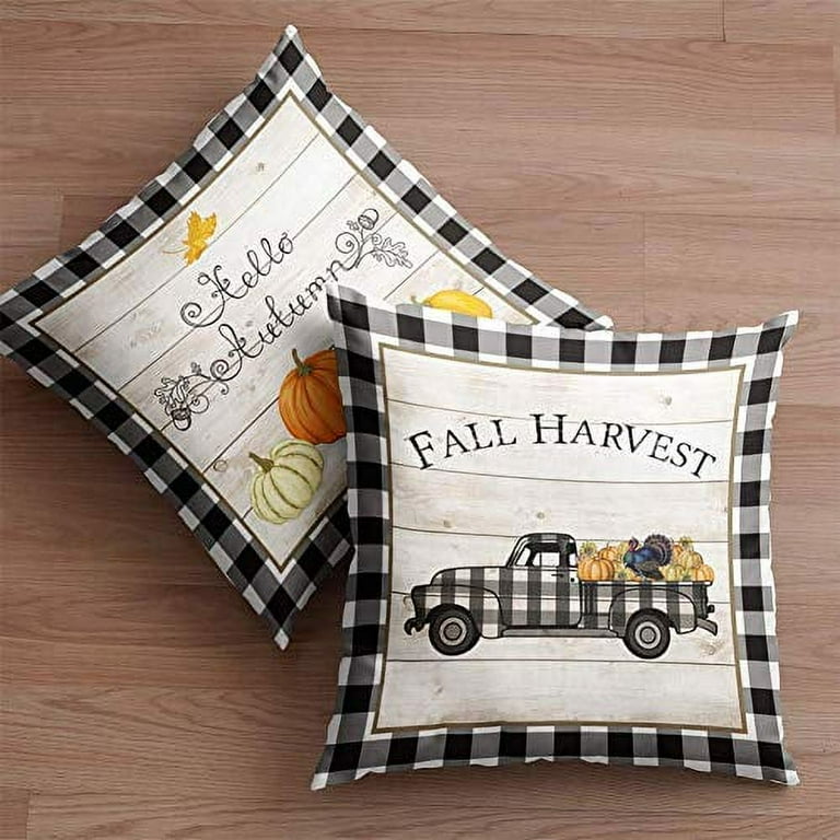 Indoor outdoor pillows clearance walmart