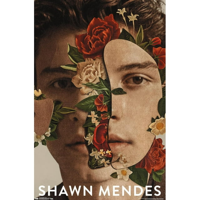 Shawn Mendes - Fleurs
