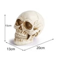 thumbnail image 2 of Modelo de cráneo humano de tamaño natural 1:1 - Modelo de réplica de cráneo humano realista de Halloween - Accesorios de decoración de cabeza de cráneo humano de resina, 2 of 5