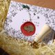 thumbnail image 5 of Cuadros Decorativos 100x Star Retro Sealing Wax Bead Fire Painting Grano para Stamp Craft (Rojo) Likrtyny embutido en tela, 5 of 8