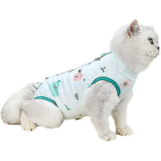 Extra small cheap kitten collar