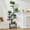 Black, variant on Plant Stand Indoor with Grow Lights, 8 Tiered Metal Plant Shelf, 63" Tall Plant Stand for Indoor Plants Multiple, Large Plant Rack Display Shelves, Corner Plant Holder for Living Room, Patio