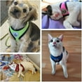 thumbnail image 3 of Adjustable Soft Mesh Cat Harness and Leash Set with Reflective for Secure Indoor and Outdoor Walking, 3 of 5