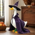 thumbnail image 4 of 23 Inch Halloween Goose Costume, Witch Cape & Hat Set for Porch Decor for Halloween Thanksgiving, Yard Garden Ornament, 4 of 7
