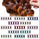 thumbnail image 2 of Hair Claw Clips, 65pcs Mini Hair Clips No-Slip Grip Jaw Clips Glitter Teeth Clips Rhinestone Hair Clips Metal Clamps Mix Colored Flower Hair Accessori, 2 of 4