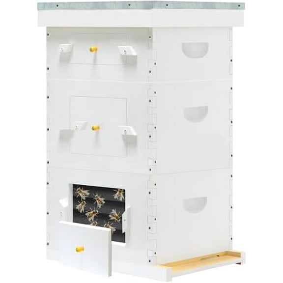 Hand Painted Bee Hive with Windows, 10 Frame Beehive Frames Bee Hive Box with Beehive Frames and Foundations ( 1 Medium & 2 Deep Brood Box )