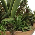 thumbnail image 3 of Uttermost Salar Polyester Foam and Teak Wood Succulents In Bronze/Green/Yellow, 3 of 3