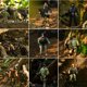 thumbnail image 3 of Figuras de acción Skylety Special Forces Army Men x18 x 10 cm, 3 of 7
