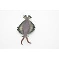 thumbnail image 5 of Anomalocaris, Toy, Prehistoric, Fossil, Arthropods, Realistic Rubber Figure, Model, Educational, Animal, Hand Painted Figurines, 7" CH047 BB77, 5 of 8