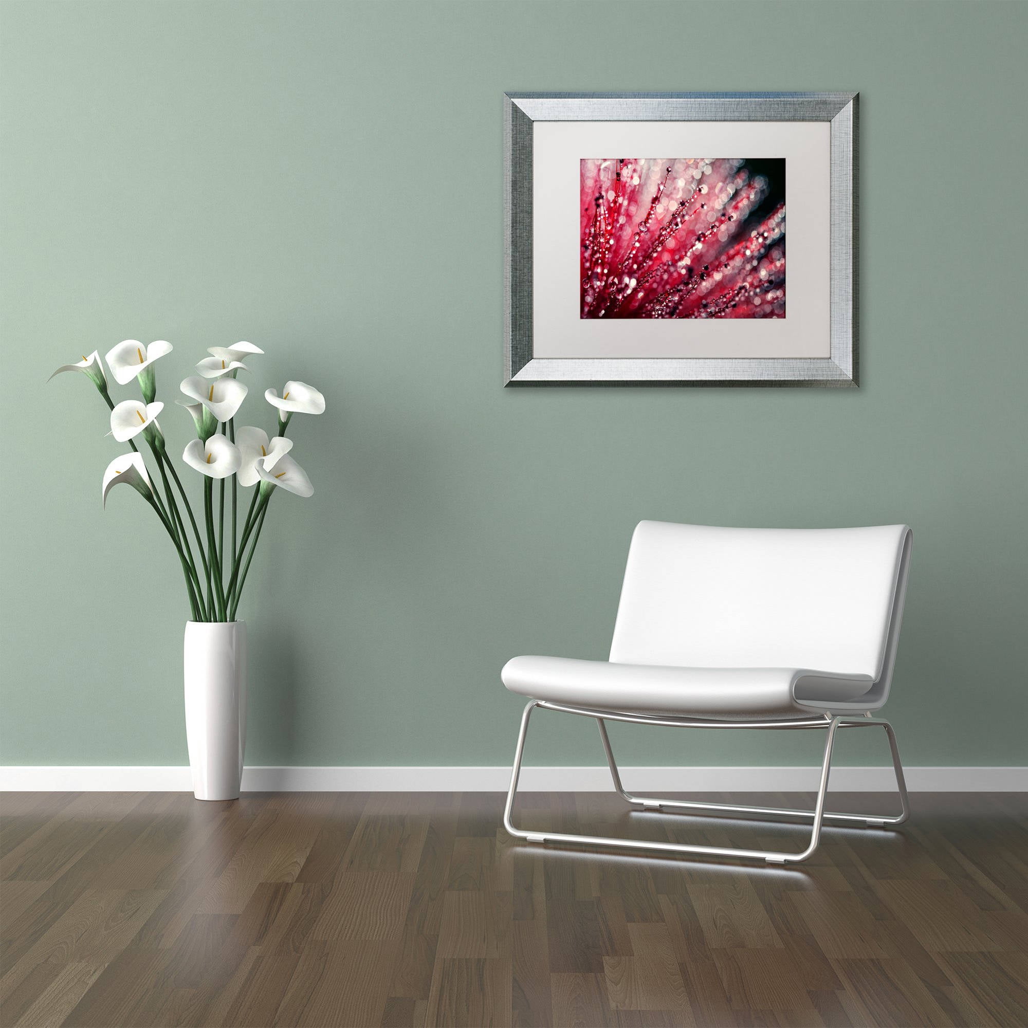 Trademark Fine Art "Sonata in Red" Canvas Art by Beata Czyzowska Young, White Matte, Silver Frame