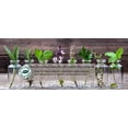 thumbnail image 3 of Kneipp All-Round 10 Piece Bath Oil Gift Set, 3 of 3