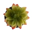 thumbnail image 4 of DesignOvation 4.25"H Tabletop Artificial Succulent in Black Textured Cement Pot, 4 of 8