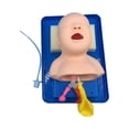 thumbnail image 2 of Intubación Pediátrica Manikin Herramienta de Tren de Gestión de Vías Respiratorias para Práctica para Práctica, 2 of 9