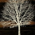 thumbnail image 2 of Night Tree Poster Print by Diane Stimson (24 x 24), 2 of 2