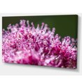 thumbnail image 2 of Vue de Gros Plan de Petites Fleurs Roses, 2 of 3
