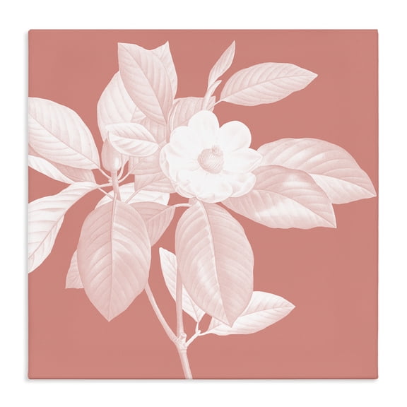 Stupell Industries Glam Pink & White Floral Canvas Art, 24 x 24, by Andrea Haase