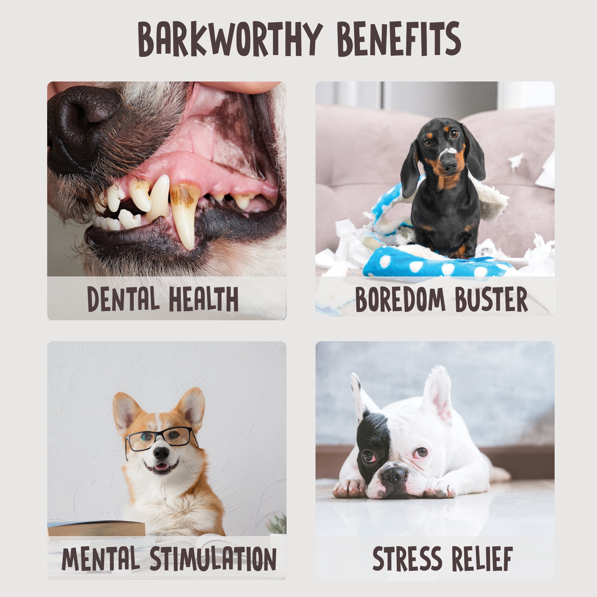 Barkz Naturals 6 Inch Thick Odor-Free Bully Sticks for Small to Medium Dogs, (6 Inch, 6 Pack), Strong Chewers, All-Natural Beef Pizzle Dog Chews