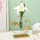 thumbnail image 4 of Metal Ginkgo hoja marco hidropónico florero tubo planta Gloria Jarrón hidropónico, 4 of 9