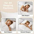 thumbnail image 7 of Mmeneyy Feather Down Pillow Insert - 20x30 inch Throw Pillow, Large Lumbar Pillow Insert for Decorative Throw Pillow, Bed, Couch, and Cushion, Pack of 1, 7 of 7