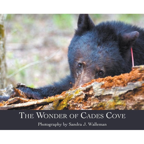 The Wonder of Cades Cove, (Hardcover)