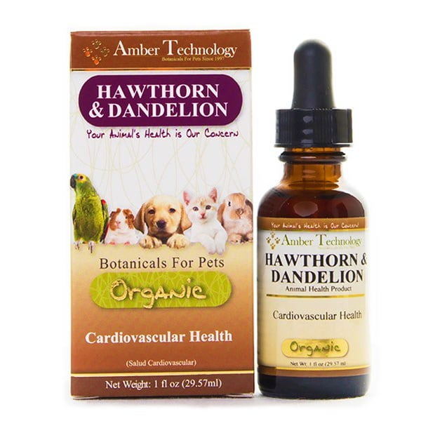 Amber Technology, Hawthorn & Dandelion, Herbal Supplement Designed to