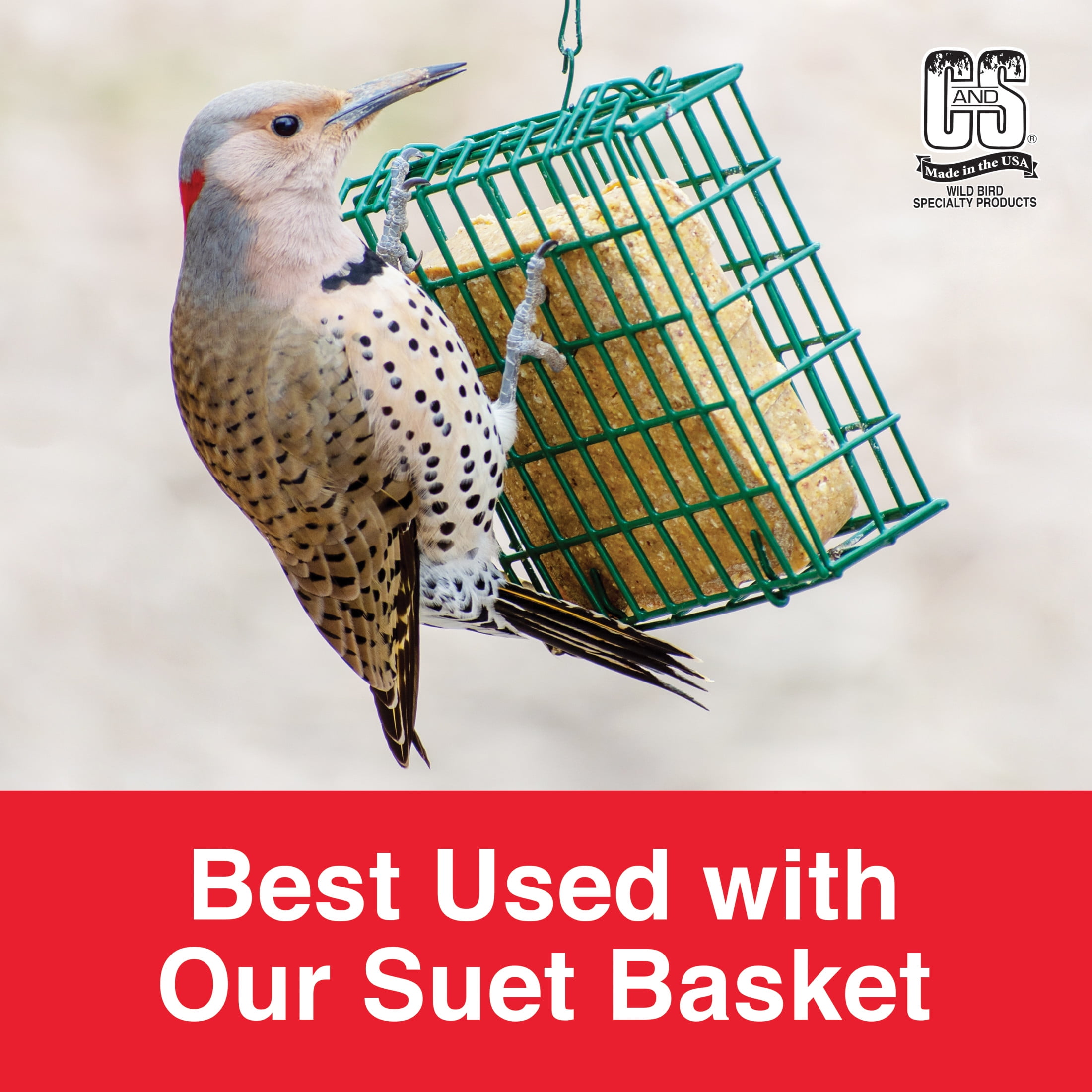 C&S Peanut Delight No-Melt Fresh Suet Dough, 11.75 oz, Wild Bird Food