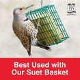 thumbnail image 6 of C&S Peanut Delight No-melt Suet Dough, 11.75 oz, Wild Bird Food, 6 of 12