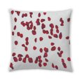 thumbnail image 2 of Ahgly Company Coussin d'Intérieur Plantes Fleurs, 18 Pouces par 18 Pouces, 2 of 6