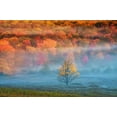 thumbnail image 2 of OBrien, Jay 24x17 Black Ornate Wood Framed with Double Matting Museum Art Print Titled - WV, Davis Mist and forest in autumn color, 2 of 4
