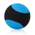 thumbnail image 3 of Pelota que rebota en el agua, piscina al aire libre, playa, juego deportivo que rebota, juguete para familiares y amigos, negro y azul YUNYI BRAND  Deportes, 3 of 8