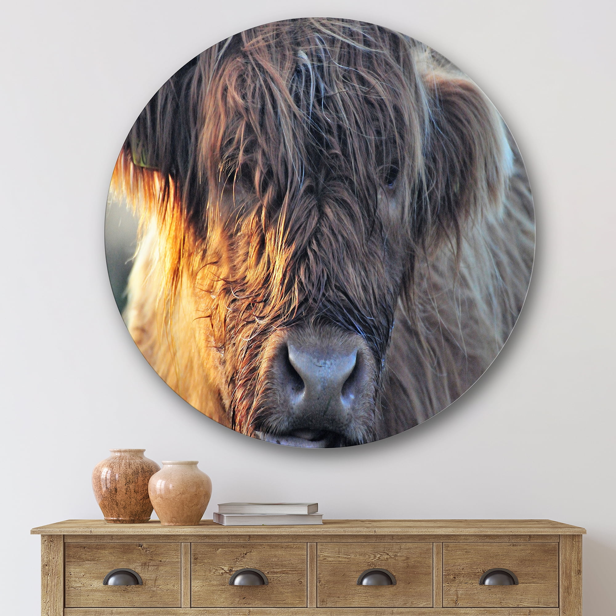 Designart 'Close Up Of Scottish Cow On Moorland III' Farmhouse Circle Metal Wall Art 29x29 - Disc of 29