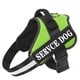 thumbnail image 5 of Arnés para perros con nombre personalizado, arnés para perros bulldog francés, perros medianos y grandes, reflectante, ajustable, suministros para mascotas para caminar al aire libre, 5 of 5
