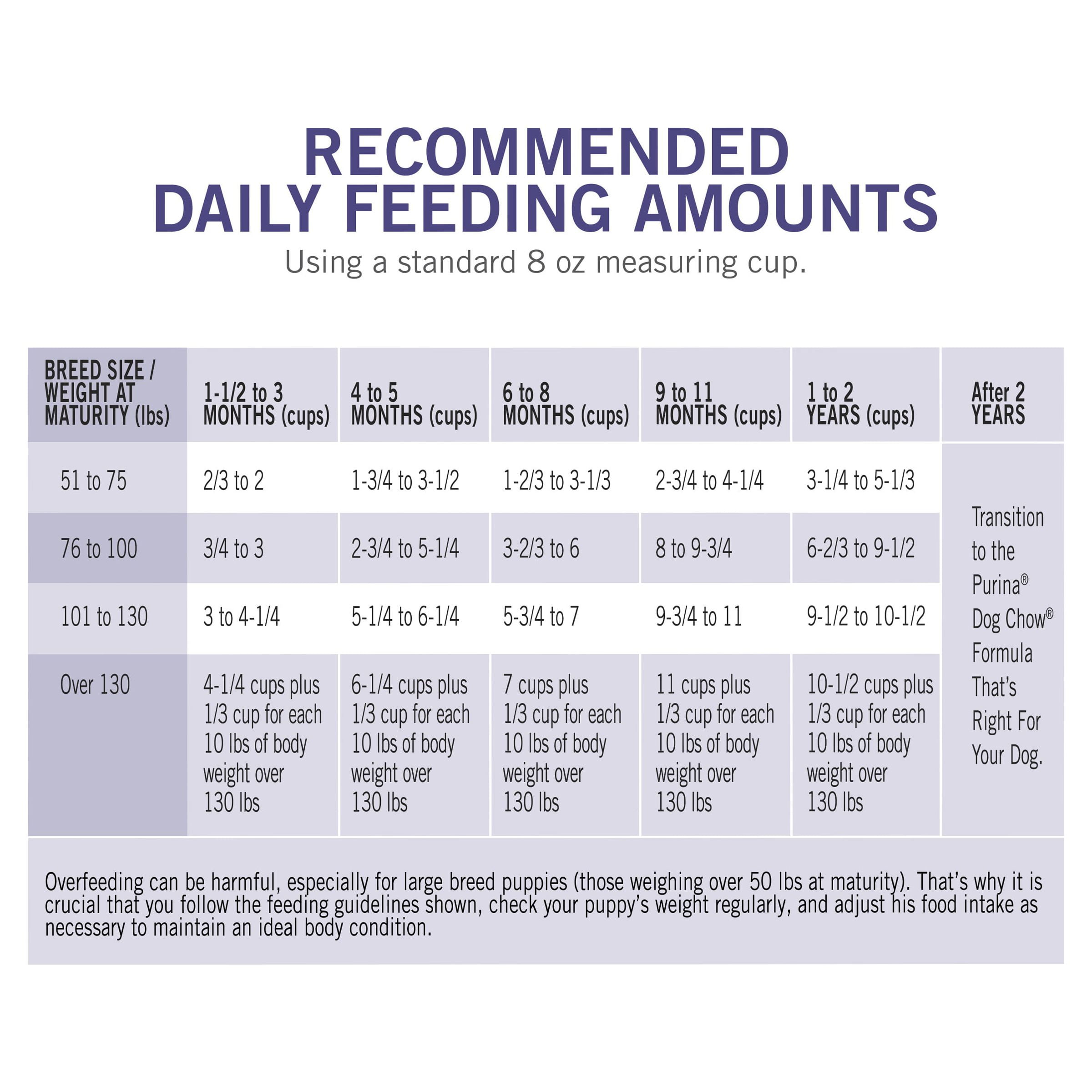 Chow chow cheap feeding guide