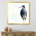 thumbnail image 3 of Designart 'Tricolored Heron Bird On White' Farmhouse Framed Art Print, 3 of 4