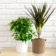thumbnail image 2 of Bolsa de cultivo contenedor de maceta de tela no tejida espesada para plantas con asa para flores de vegetales de jardín, bronceado claro y 7 galones Advancent HA004268-10, 2 of 6
