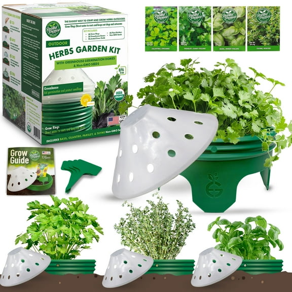 Rooted Promise Herbs Garden Kit Organic Herb Seed Starter Kit with Grow Rings and Greenhouse Domes 4pk