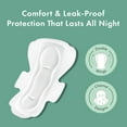 thumbnail image 2 of Pads for Women, Organic Cotton Cover - Period Pads with Wings, Feminine Care, Sanitary , Heavy Absorbency, Unscented (Large, 48 Count), 2 of 4