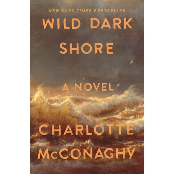 Wild Dark Shore: A Novel (Paperback)