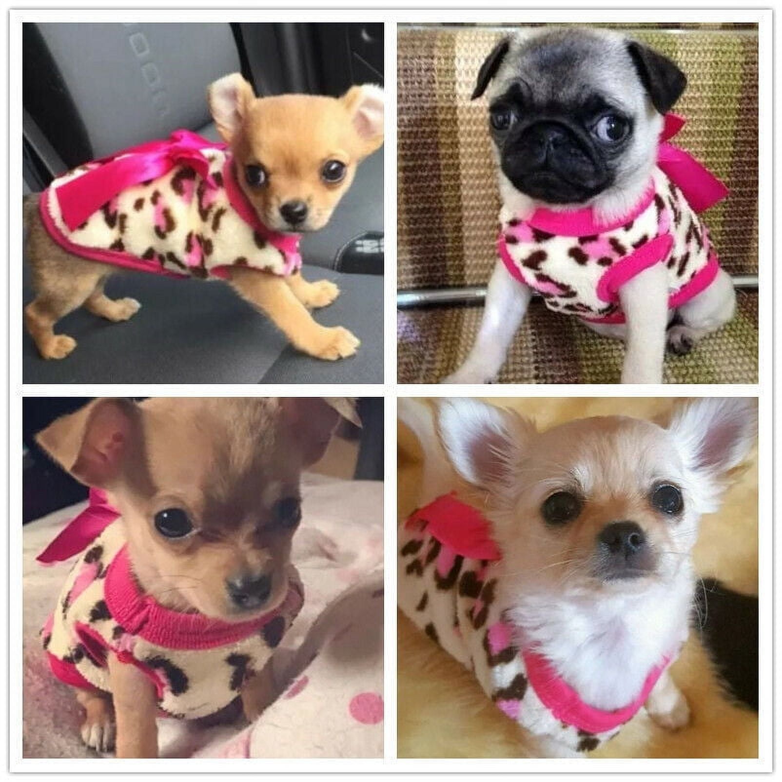 Xxs Dog Clothes Chihuahua: Stylish Outfits for Tiny Pups