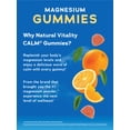 thumbnail image 6 of CALM Magnesium Supplement | Orange Flavored Gummies | 120 Count | by Natural Vitality, 6 of 6