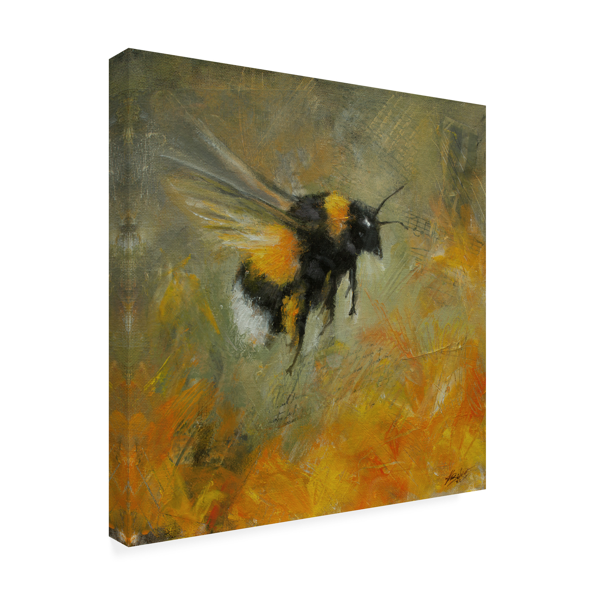 Canvas Wall Art - John Silver 'Bumblebee 1' Wall Art for Living Room, Bedroom, or Office DÃ©cor by Trademark Fine Art - 35 x 35 Inches