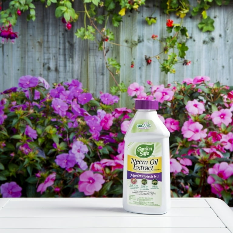 Garden Safe Organic Neem Oil Extract, 3-In-1 Insecticide, Fungicide,  Pesticide, 16 Ounces - Walmart.com