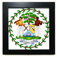thumbnail image 1 of Belize National Emblem Country Black Square Frame Picture Wall Tabletop, 1 of 3