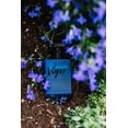 thumbnail image 4 of Cologne RawChemistry Vigor Fheromone Atracting para hombres, 30 ml, 4 of 6