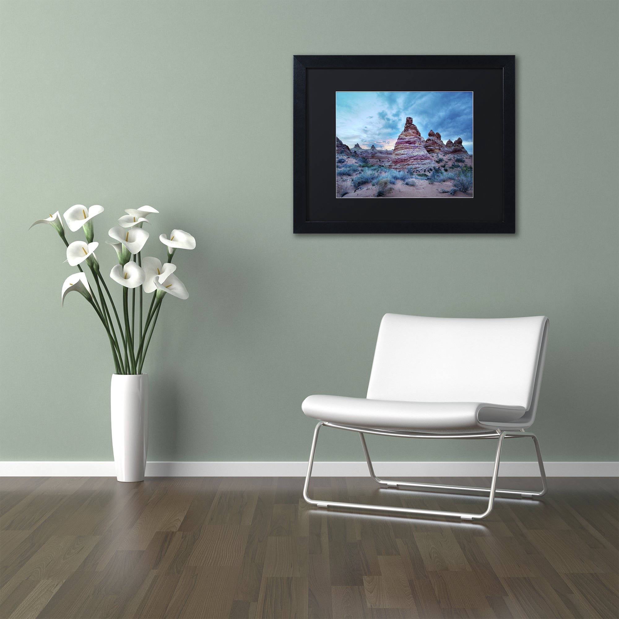 Trademark Fine Art "Cottonwood I" Canvas Art by Moises Levy Black Matte, Black Frame