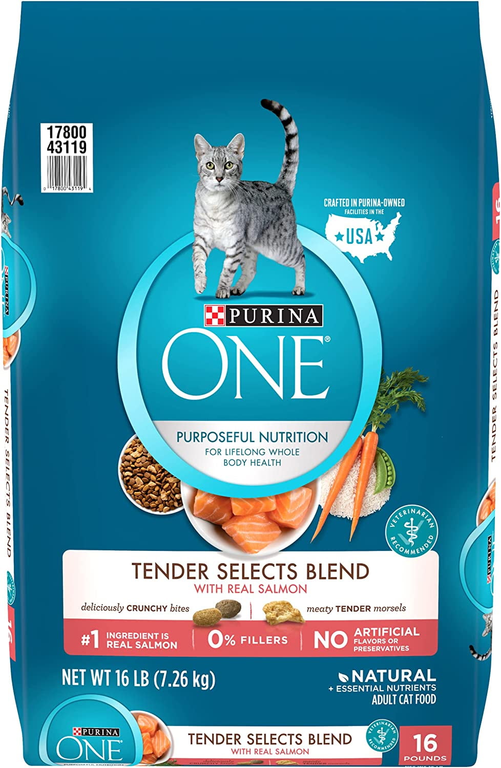 Purina ONE Natural Dry Cat Food, Tender Selects Blend With Real Salmon