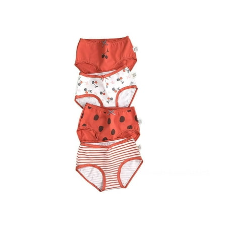 

bangyoudaoo 4Pcs Baby Kids Underwear Breathable Cotton Panties Toddler Girls Undies Soft Assorted Briefs Style4 100
